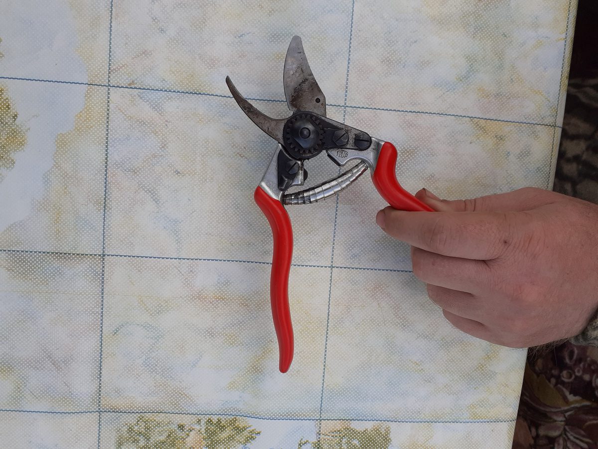 Експерти порадили спосіб швидко та без клопоту заточити садовий секатор для обрізки рослин