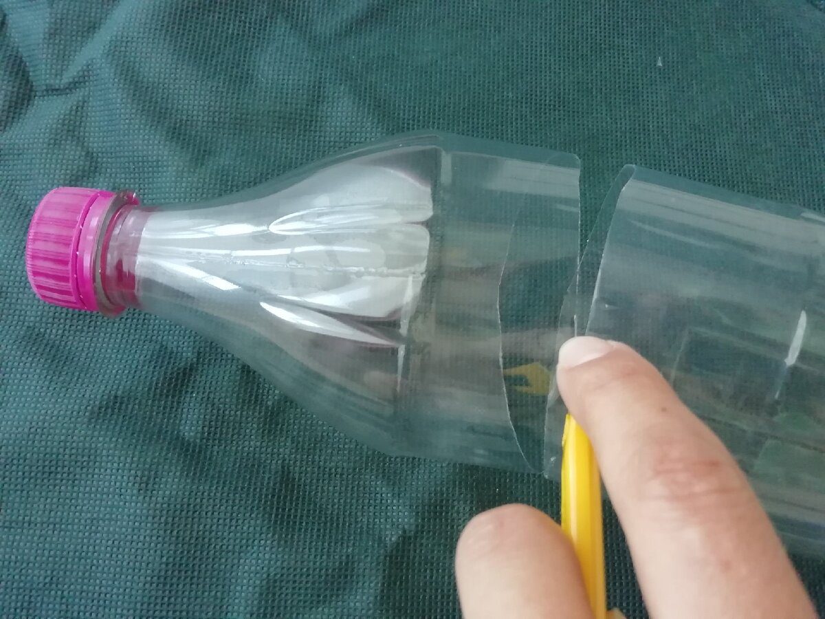 Експерти розповіли, як зі звичайної пластикової пляшки зробити інструмент для очищення горіхів