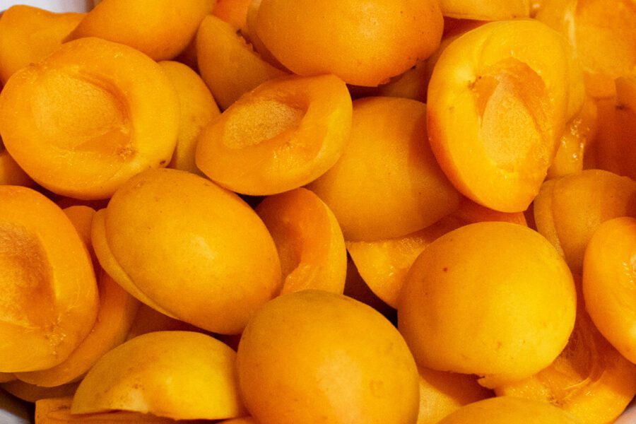 Чим і навіщо удобрювати абрикос перед морозами