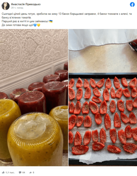 Пост Анастасії Приходько у Facebook