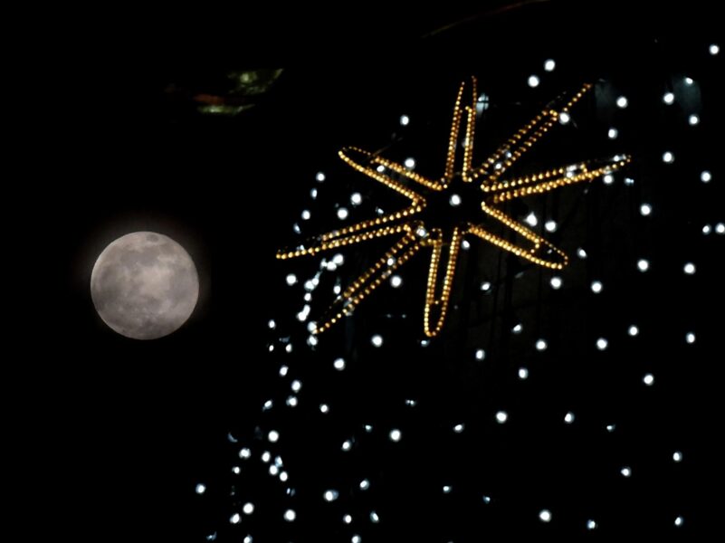 Що обіцяють Зірки 11 листопада 2022 року