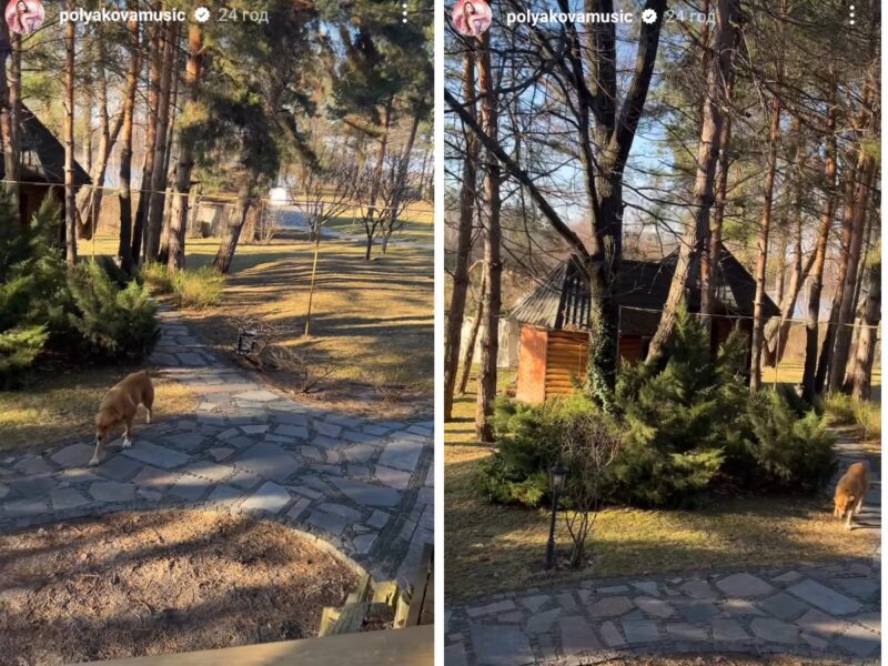 Як виглядає розкішний будинок Ольги Полякової серед лісу