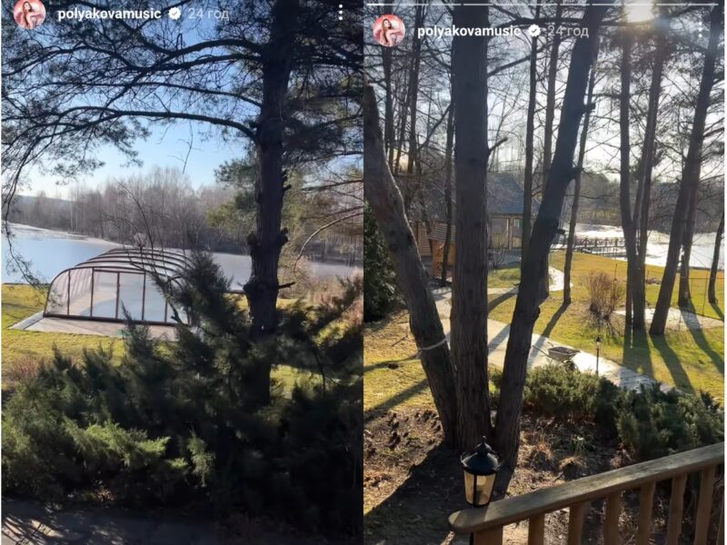Як виглядає розкішний будинок Ольги Полякової серед лісу