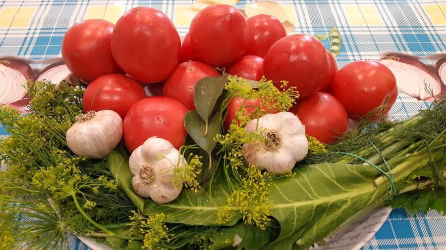 Який сорт помідорів підходить для квашення