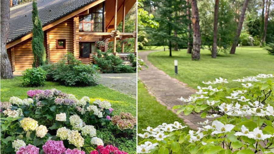 Як виглядає розкішний особняк Софії Ротару на Київщині