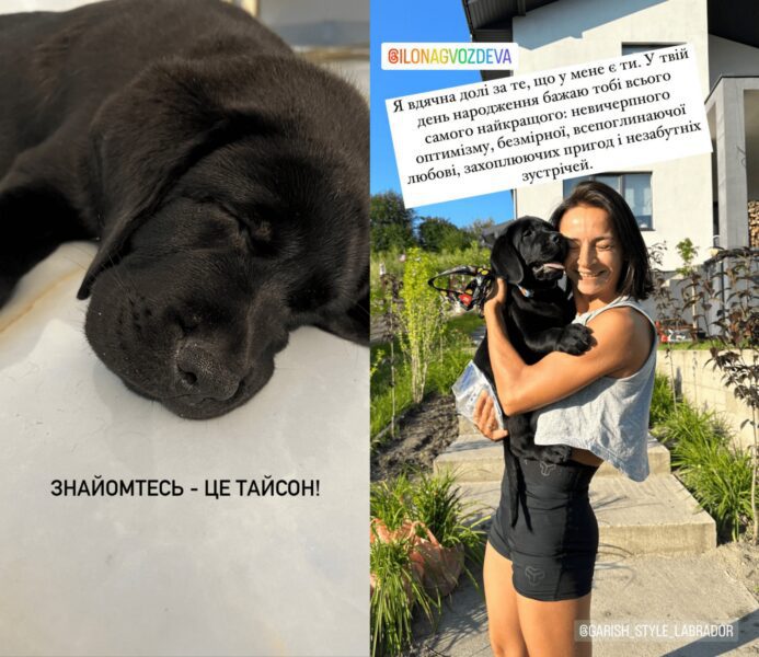 Скріншоти історій з Інстаграму