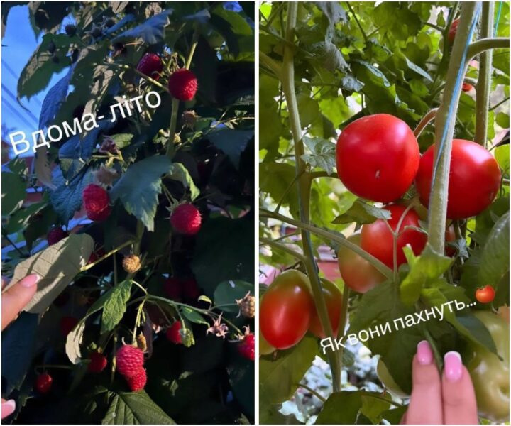 Лілія Ребрик похизувалася врожаєм з власного городу та саду