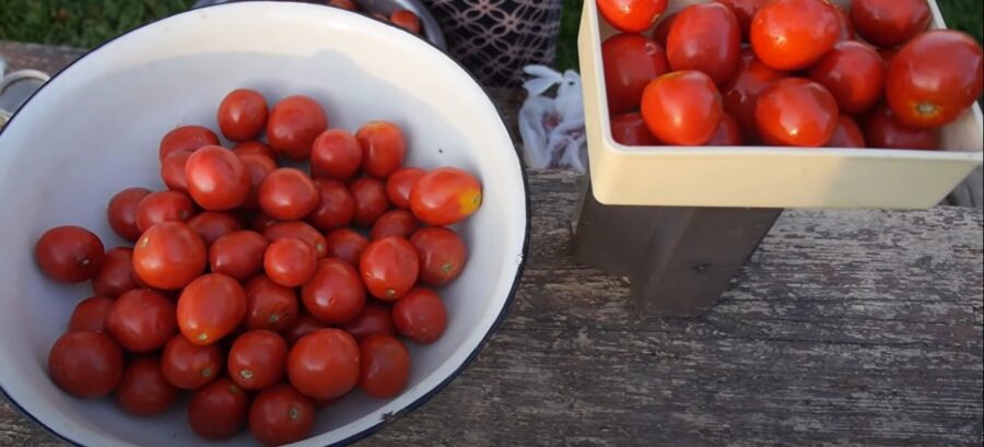 Легкий рецепт квашених помідорів з хроном та гострим перцем