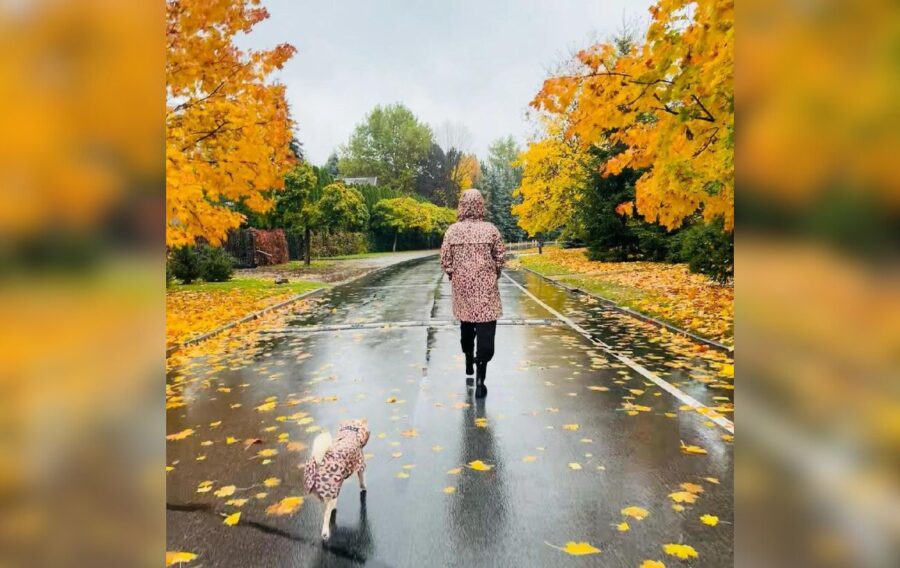 Даша Астаф'єва у своєму Інстаграм-блозі показала світлини зі своєю домашньою улюбленицею