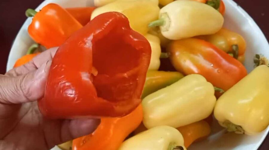 Де найкраще зберігати урожай перцю