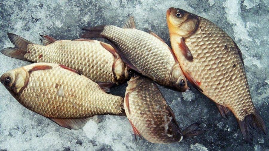 Як легко почистити карася і карпа за 1 хвилину