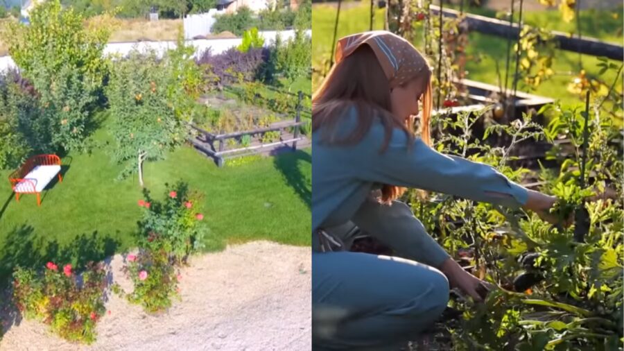 Тіна Кароль вирощує на городі різноманітні овочі та фрукти 