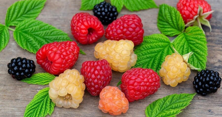 Яку спецію додати при консервації варення