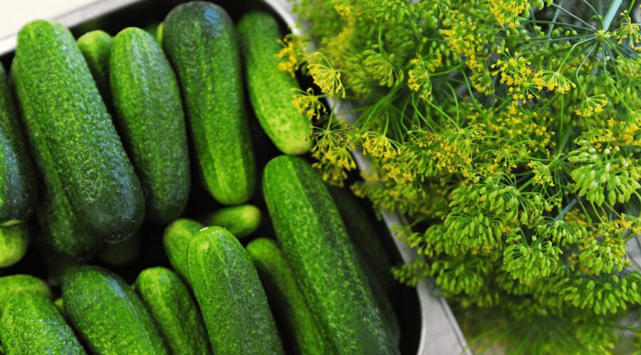  Як заготовлювати огірки на зиму