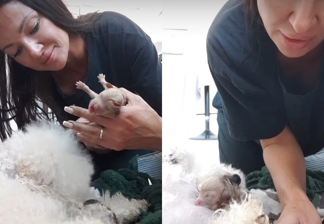 Дружина Влада Ями показала, хто у них народився в Америці 