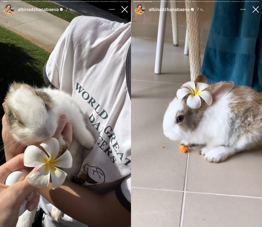 Альбіна Джанабаєва подарувала Меладзе чергове поповнення в родині Альбіна Джанабаєва подарувала Меладзе чергове поповнення в родині