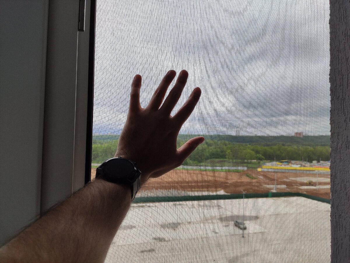 Експерти розповіли, як можна очистити москітну сітку, не знімаючи її з вікна – швидко і просто