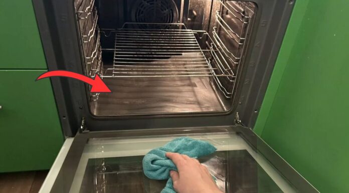 Кухарі показали, який засіб гарно відмиває духову піч