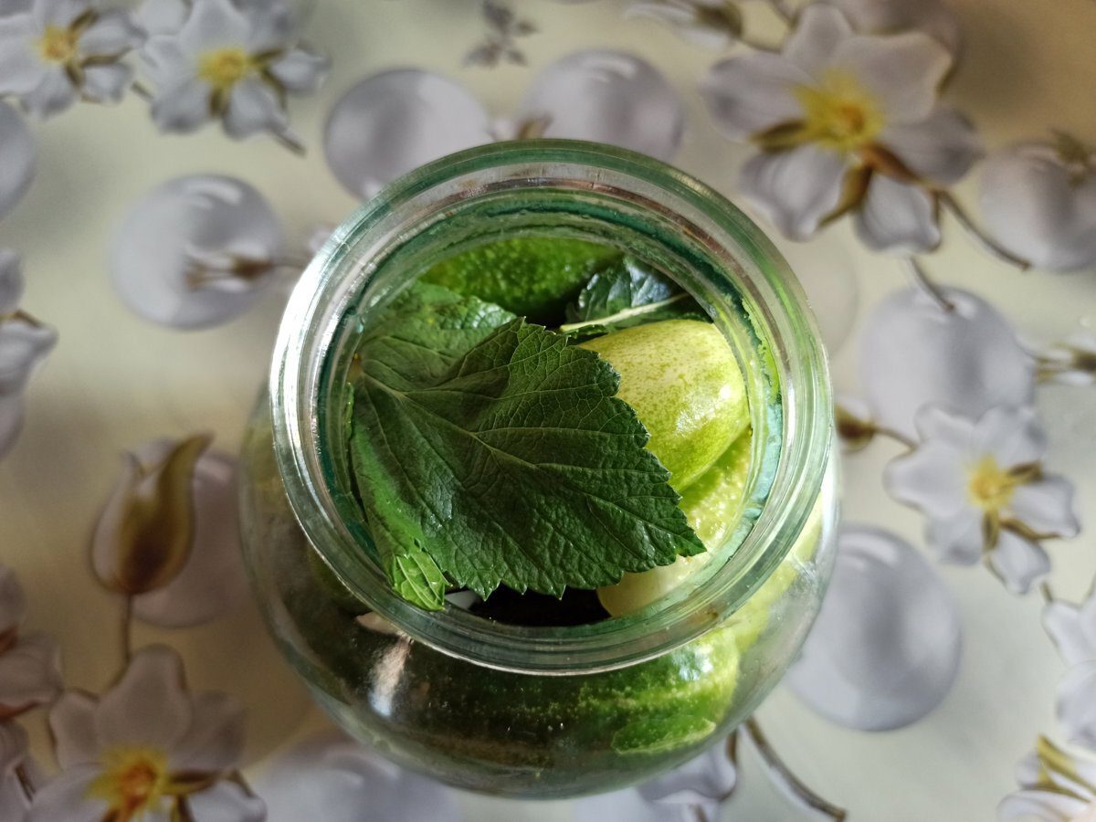 Кулінари розповіли, як приготувати смачні солоні огірки в домашніх умовах – будуть хрусткими