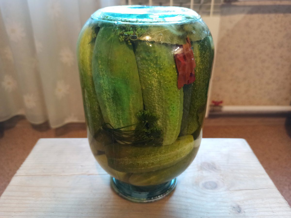 Кулінари розповіли, як приготувати смачні солоні огірки в домашніх умовах – будуть хрусткими