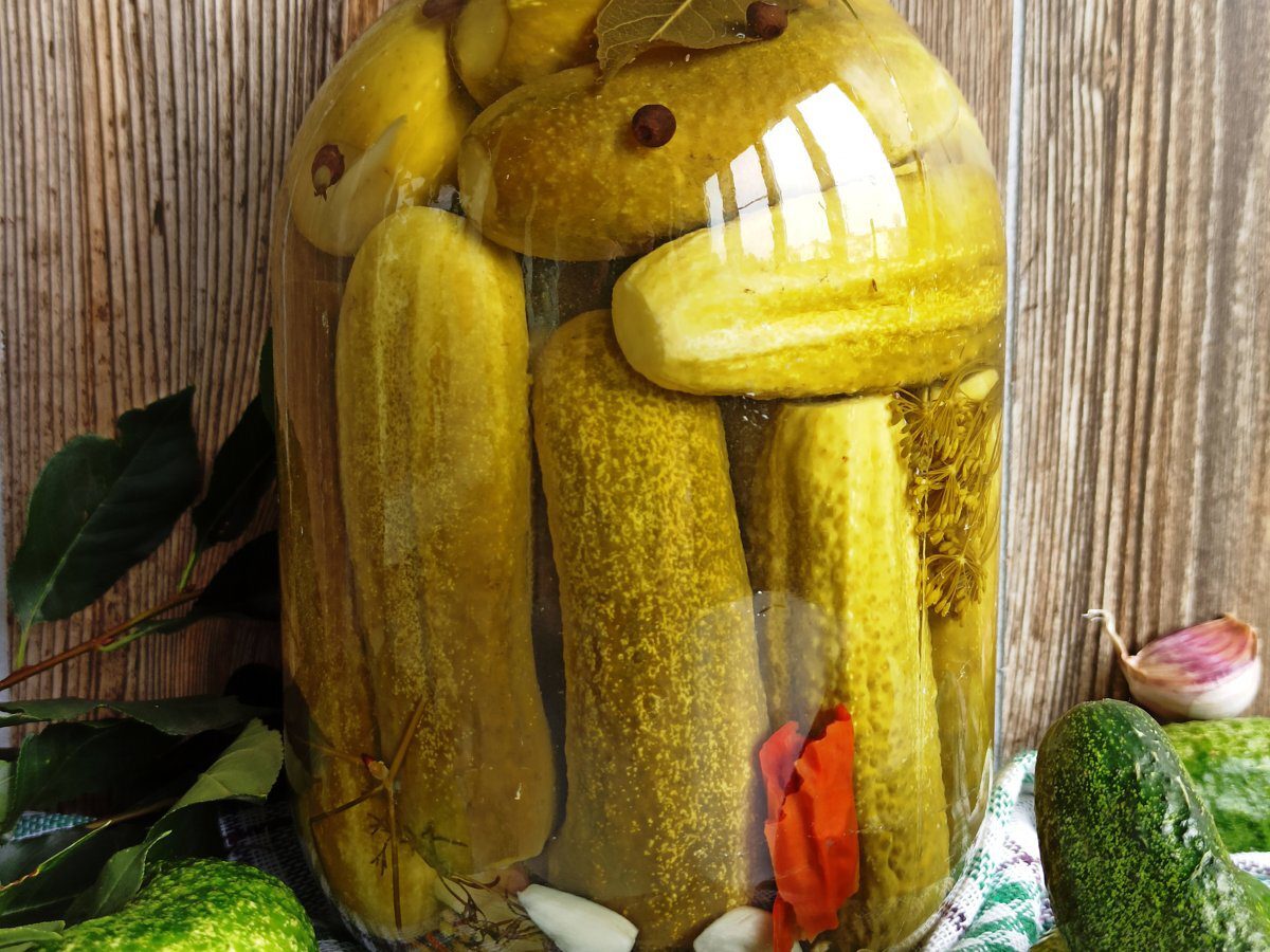 Кулінари розповіли, як приготувати смачні солоні огірки в домашніх умовах – будуть хрусткими