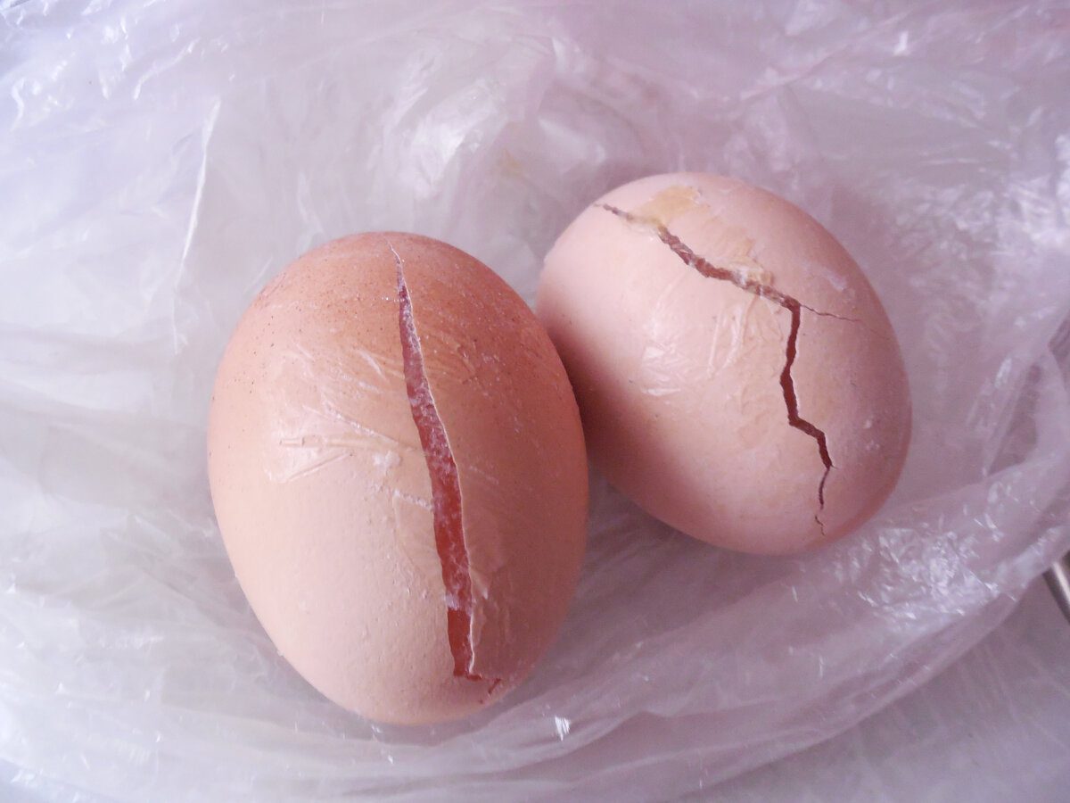 Кулінари розповіли, як приготувати смачний сніданок із заморожених яєць – оригінальний рецепт