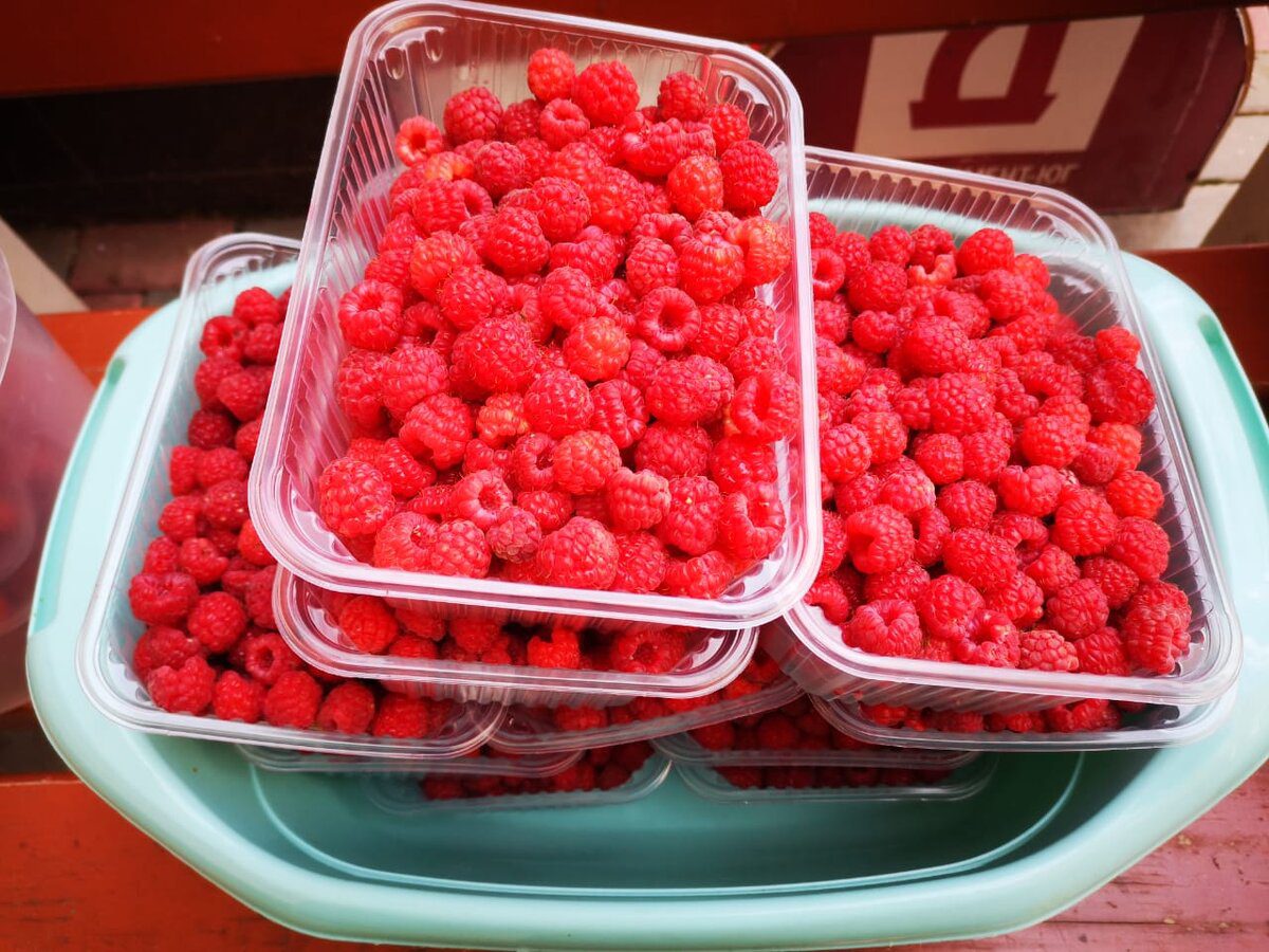 Експерти розповіли, як правильно заморожувати ягоди без втрати смаку та користі