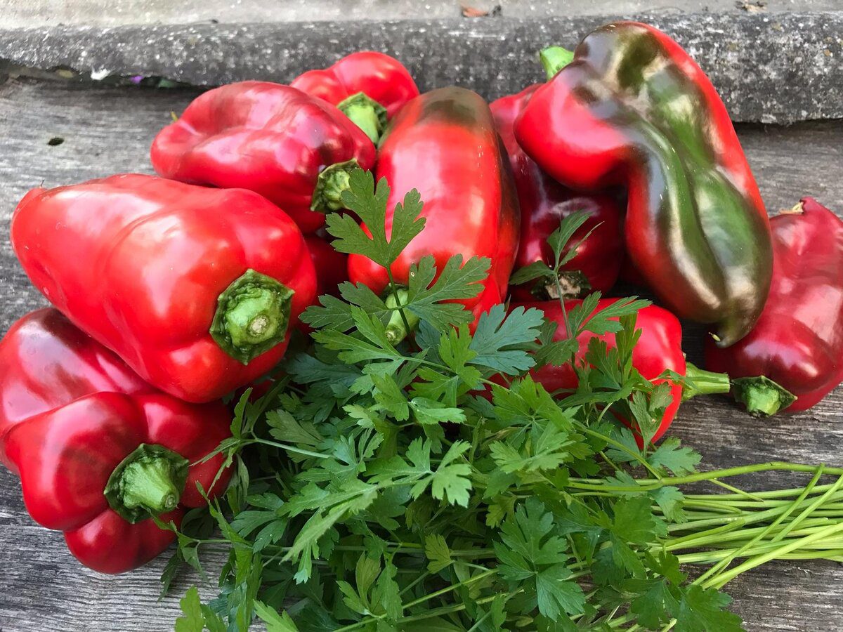 Городники розповіли, яке добриво використовувати для покращення смаку болгарського перцю