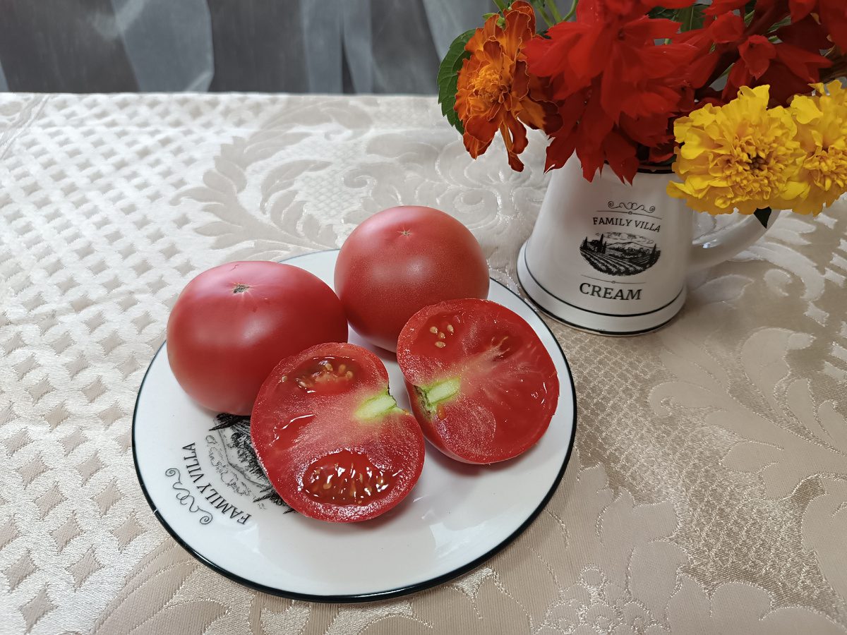 Експерти порадили добриво для покращення плодоношення помідорів у літній період