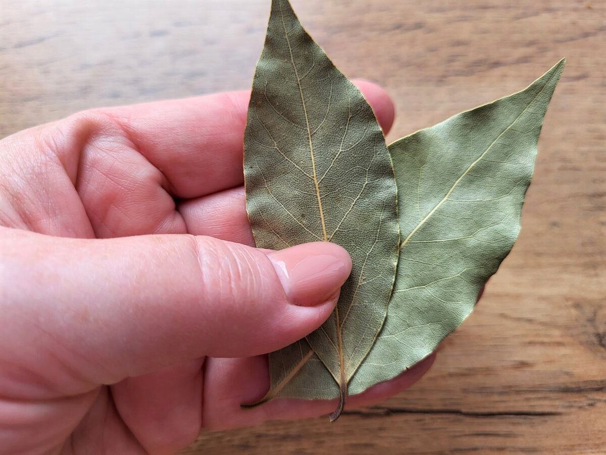 Господиням розповіли, які лайфхаки допоможуть створити ідеальну чистоту у будинку чи квартирі