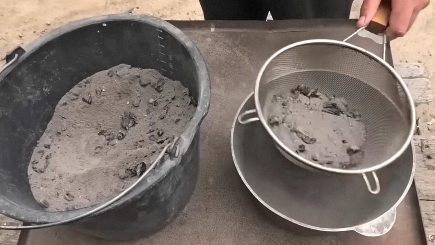 Садівники розповіли, як підвищити врожай ягід на 150%