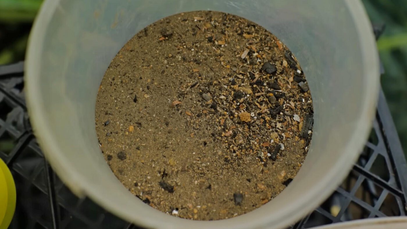 Городники пояснили, як виростити здорову та велику капусту без хімії