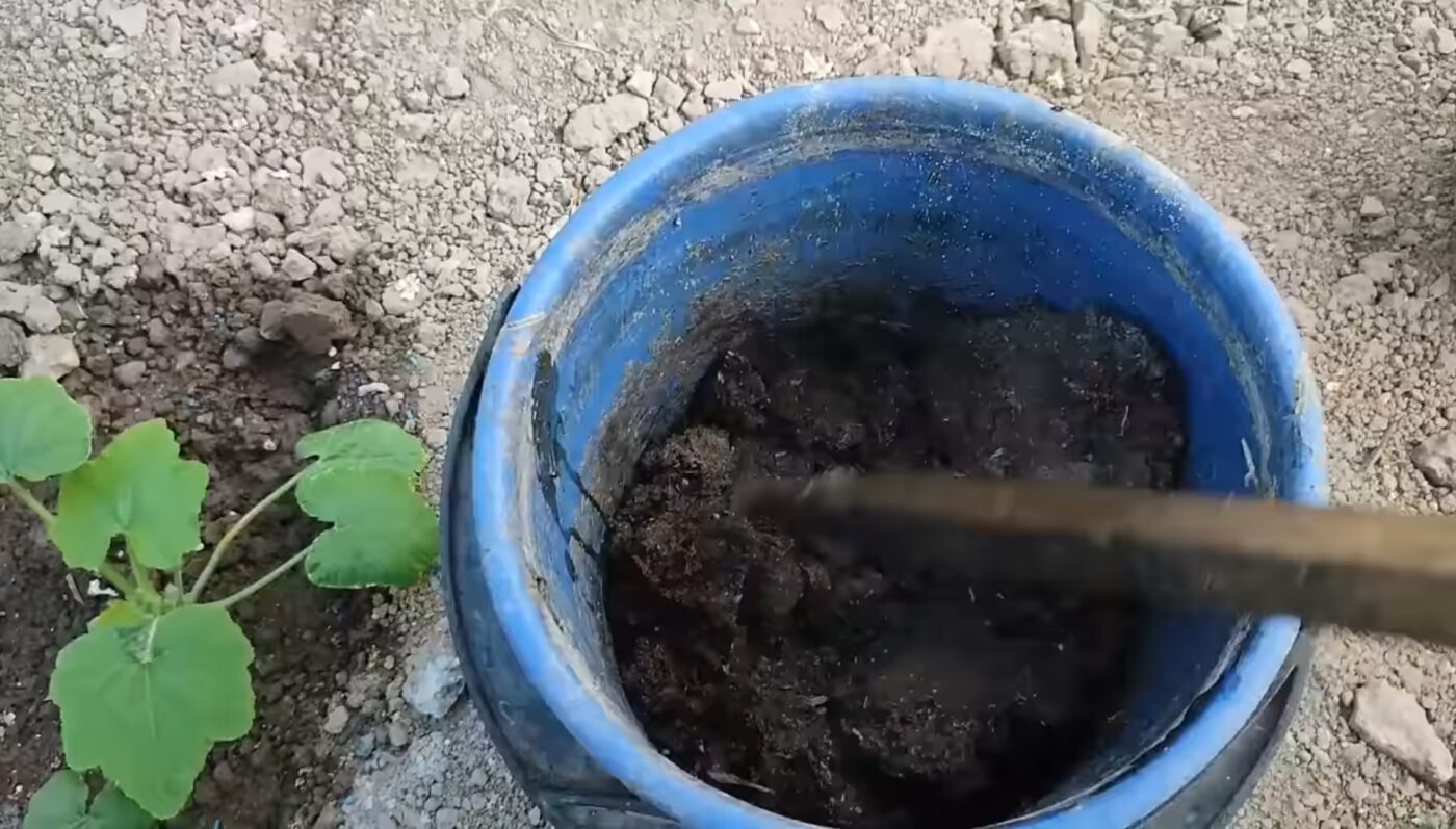 Після того як посадила це: восени не впізнала свій огород.