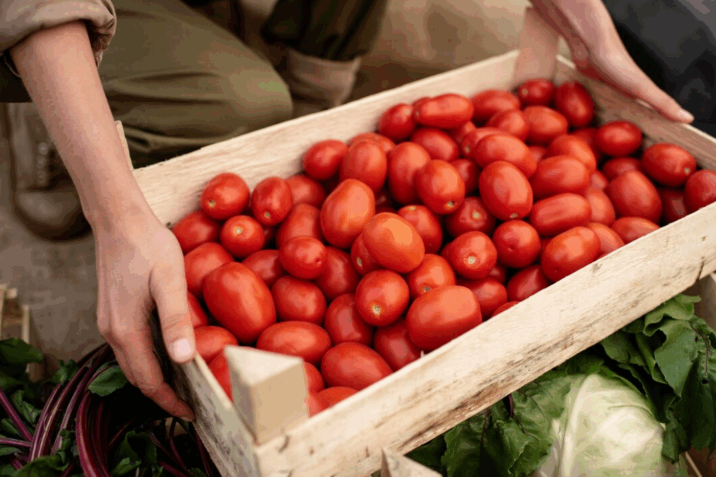 Кулінари розсекретили рецепт малосольних помідорів у пакетах – простіше нікуди