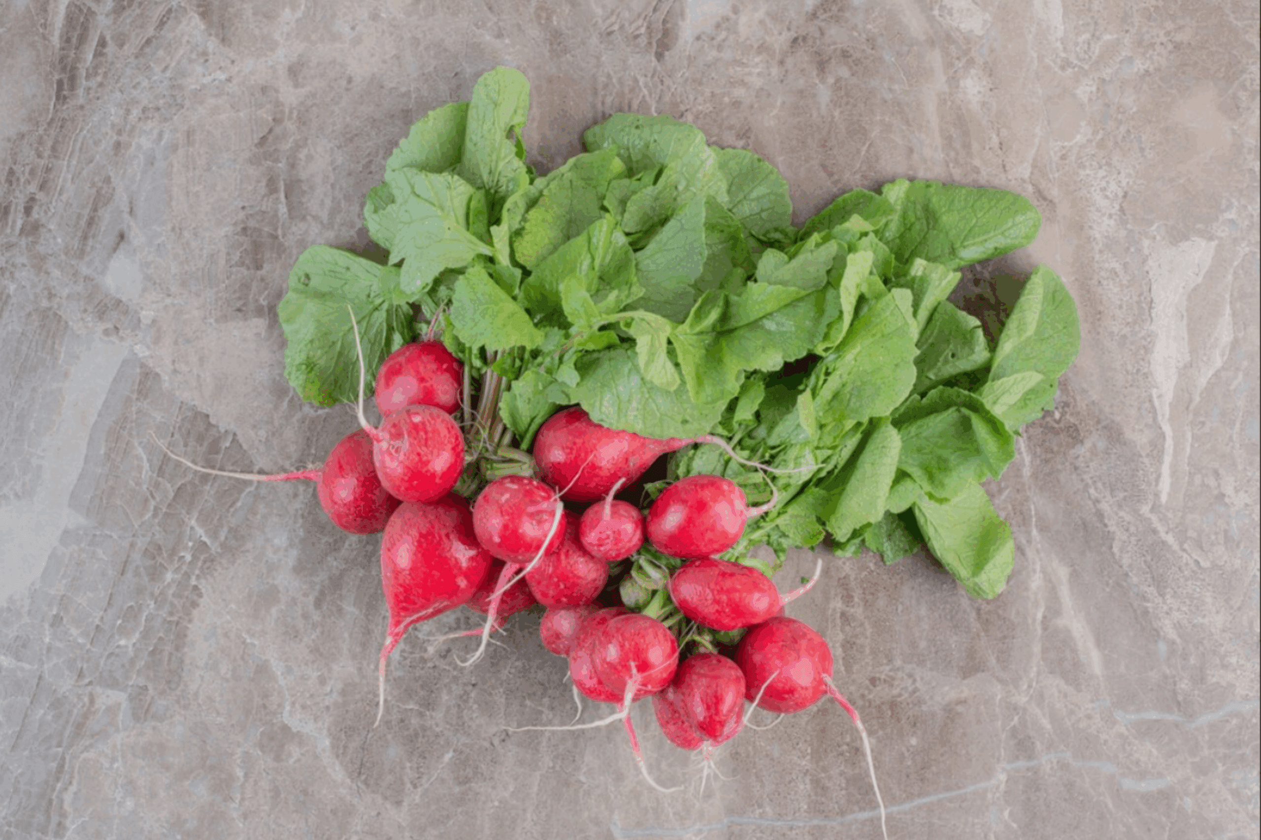 Городники розповіли, як посадити редис в серпні, щоб зібрати врожай восени