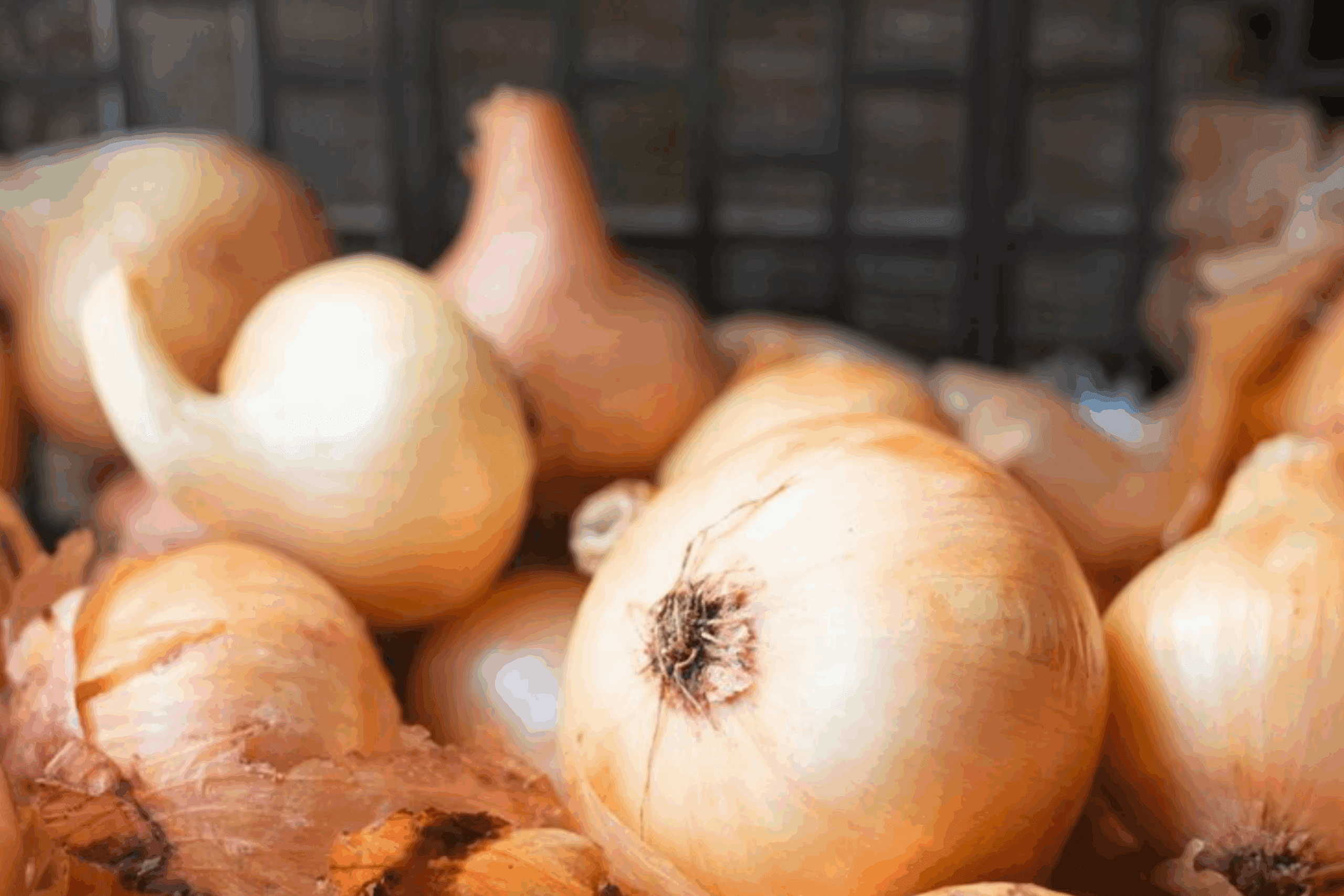 Агрономи назвали конкретні дати, коли треба садити озиму цибулю восени 2025