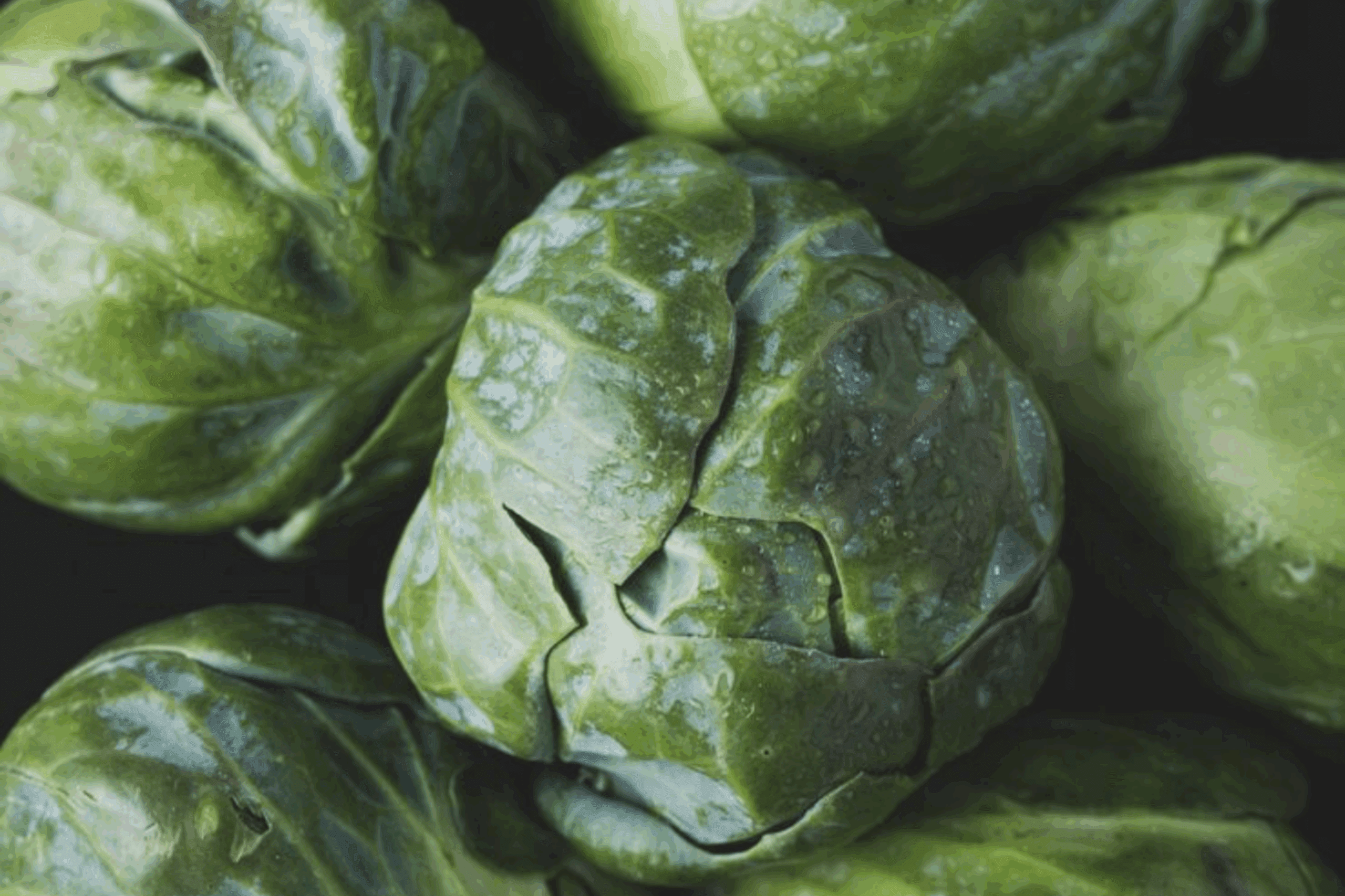 Дачники розповіли, як зберігати врожай капусти, щоб до весни була свіжою