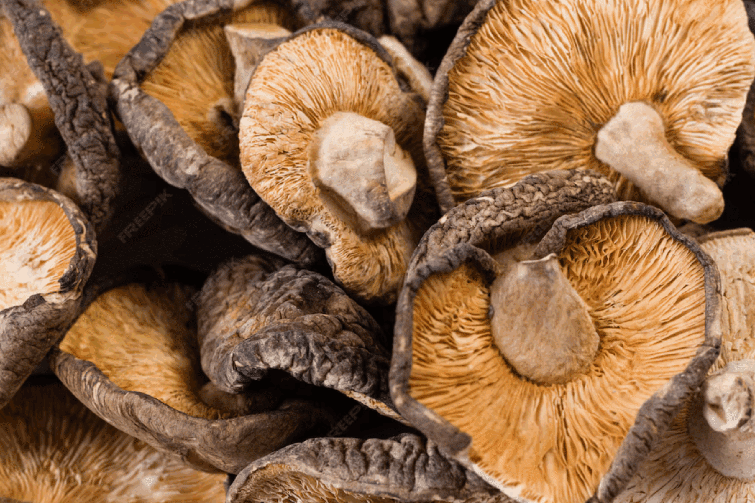 Господині розповіли, як правильно сушити гриби, щоб вони зберігались довго