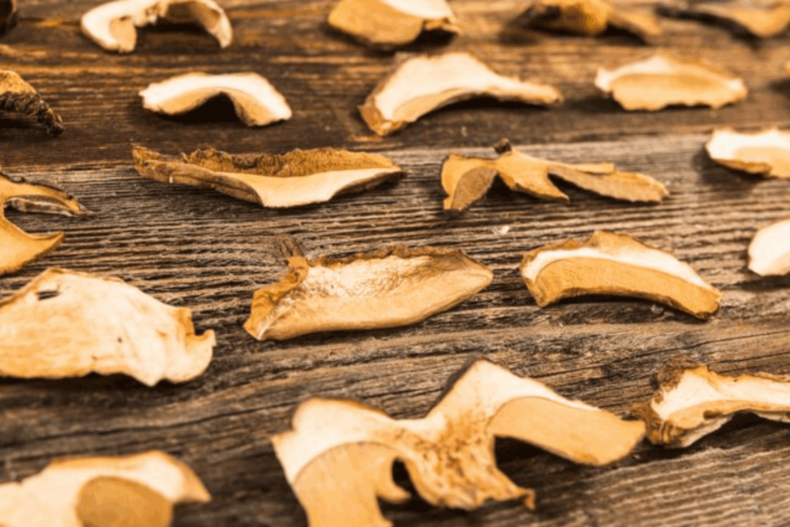 Господині розповіли, як правильно сушити гриби, щоб вони зберігались довго