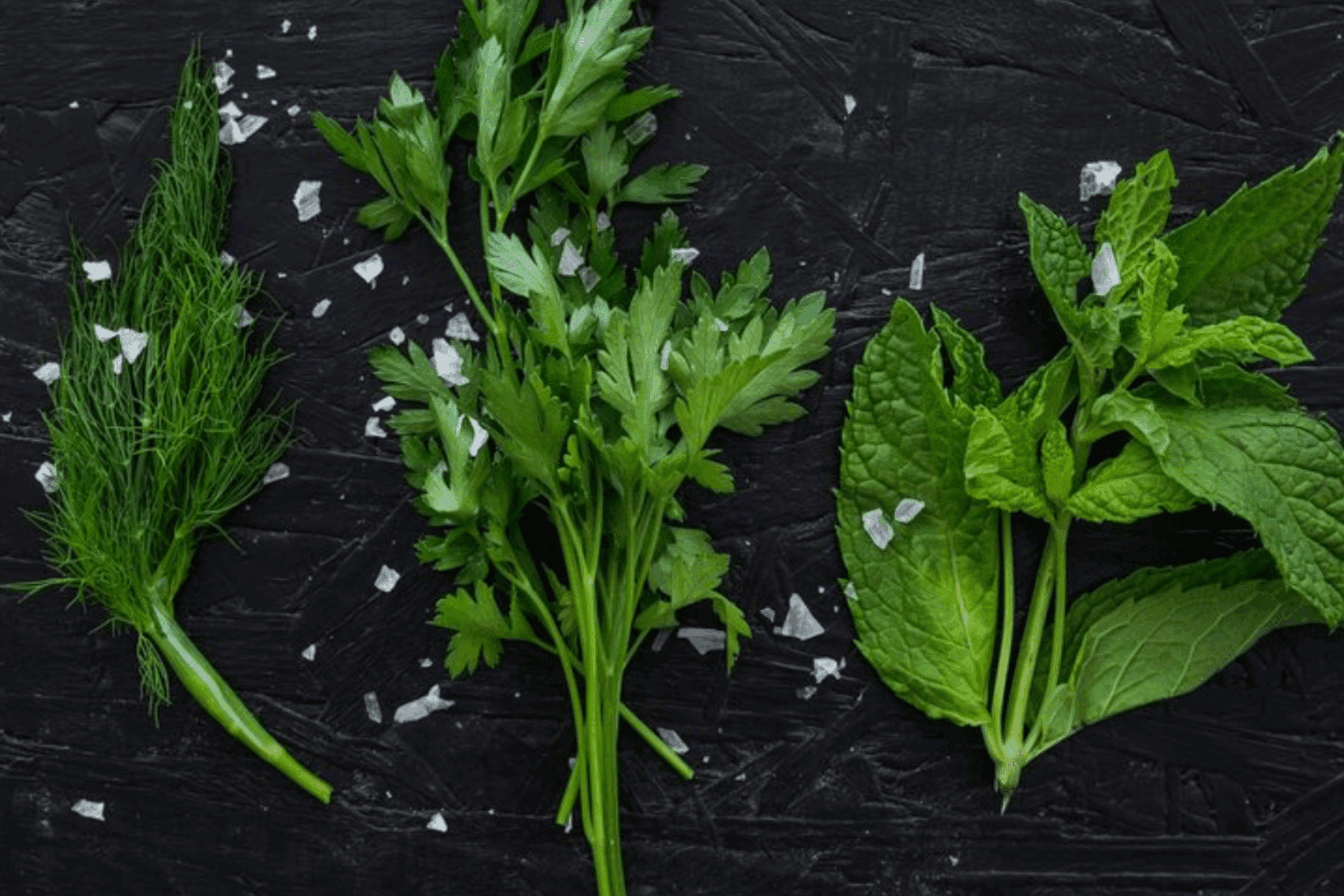 Господині розповіли, як правильно зберігати зелень, щоб залишалась свіжою довго