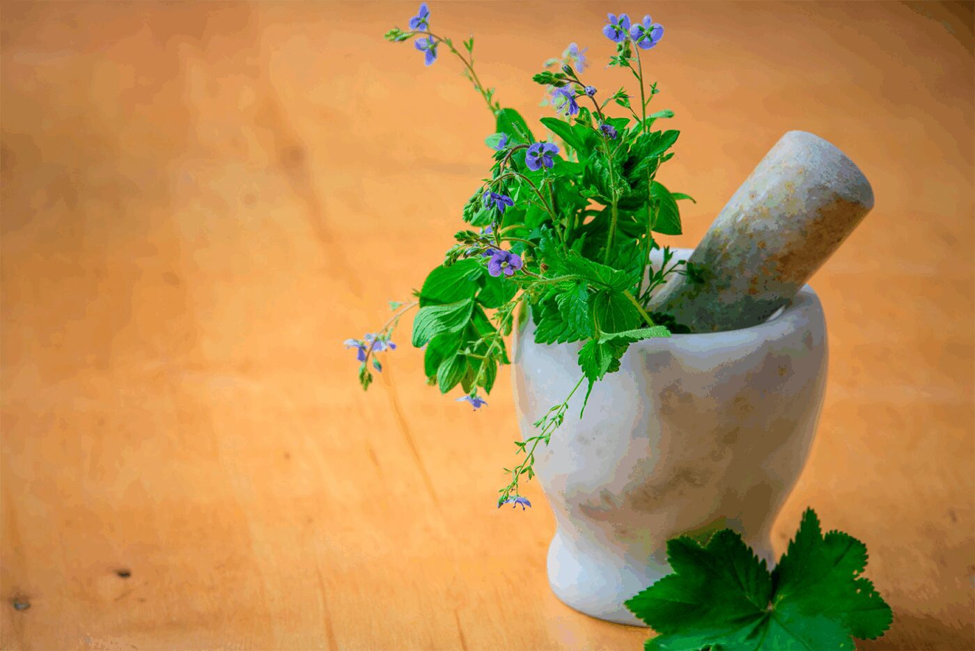 Як зберігати зелень в банках