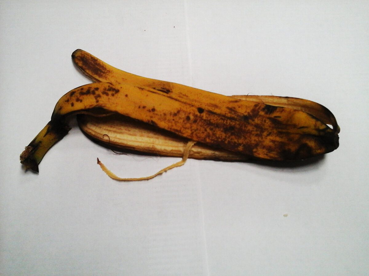 Експерти розповіли, як покращити структуру ґрунту за допомогою добрива за лічені копійки