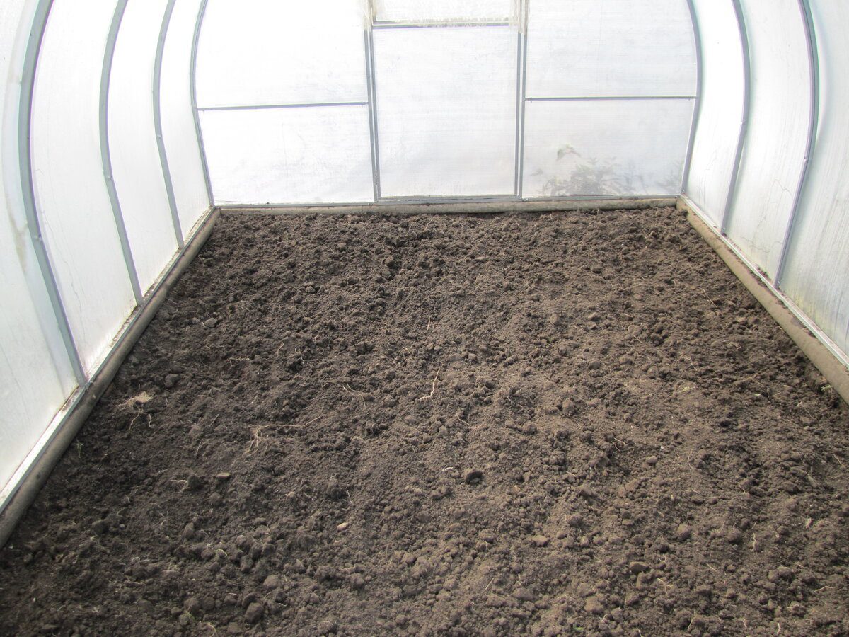 Експерти розповіли, як покращити врожайність у теплиці за допомогою простого лайфхаку