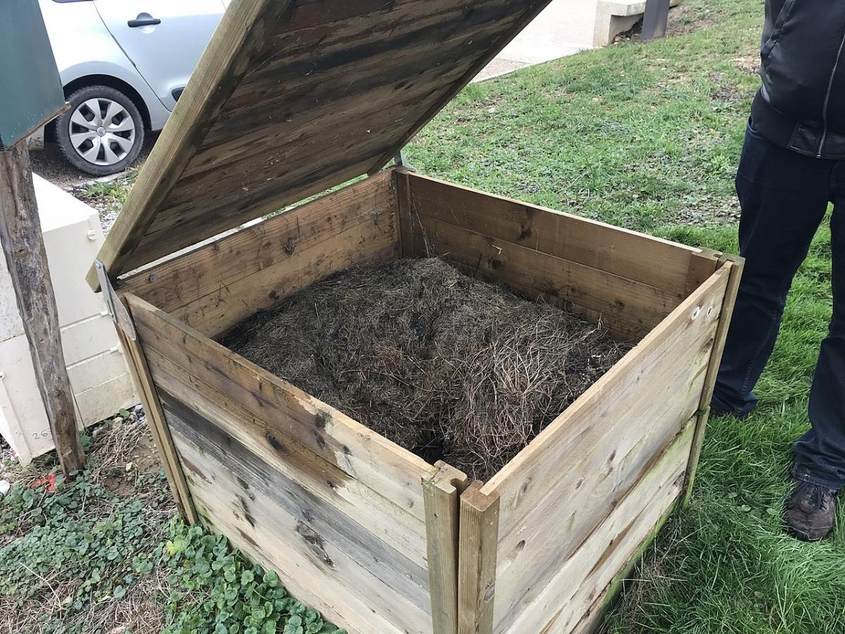 Експерти розповіли, що додати в компостну купу, аби добриво продовжувало дозрівати у холод