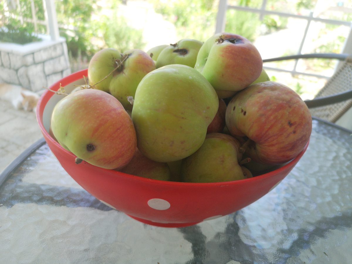 Як зварити густе яблучне повидло