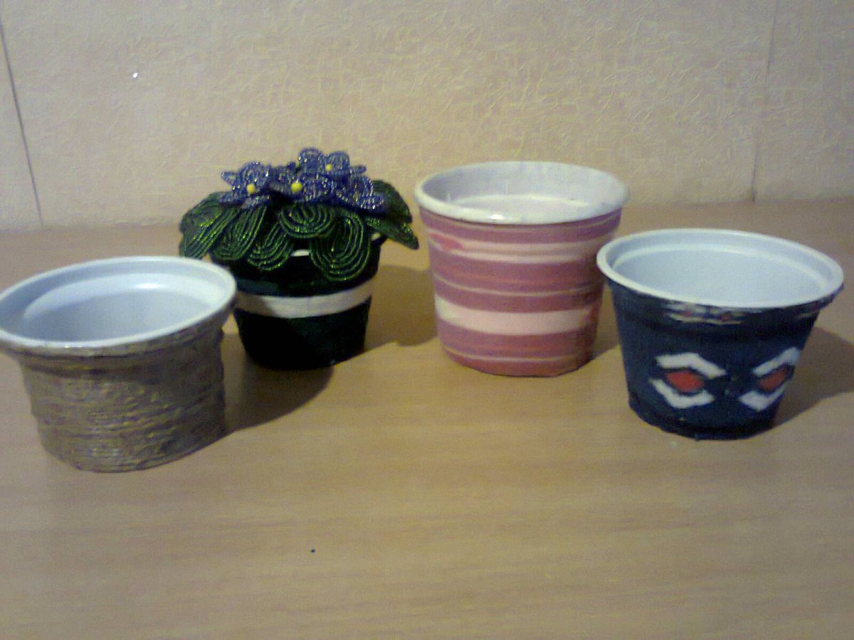 Експерти розповіли, як використати стаканчики від сметани для вирощування квітів і не тільки