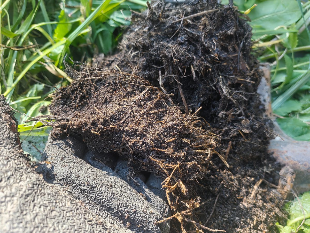 Як з бадилля зробити добриво для городу й саду