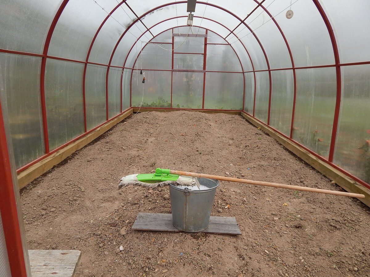 Експерти розповіли, як правильно обробляти теплицю восени для кращої врожайності рослин