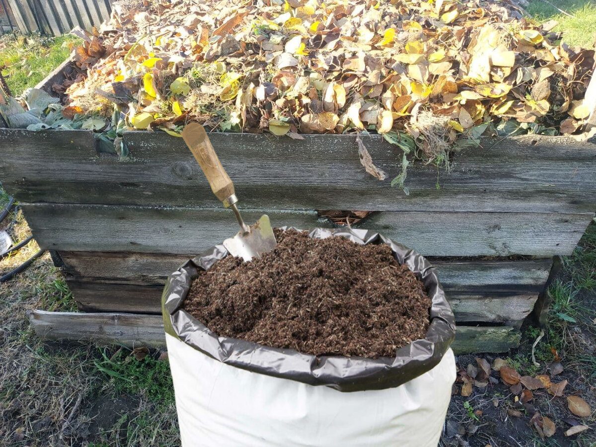 Експерти розповіли, який лайфхак допоможе відновити виснажений ґрунт на ділянці
