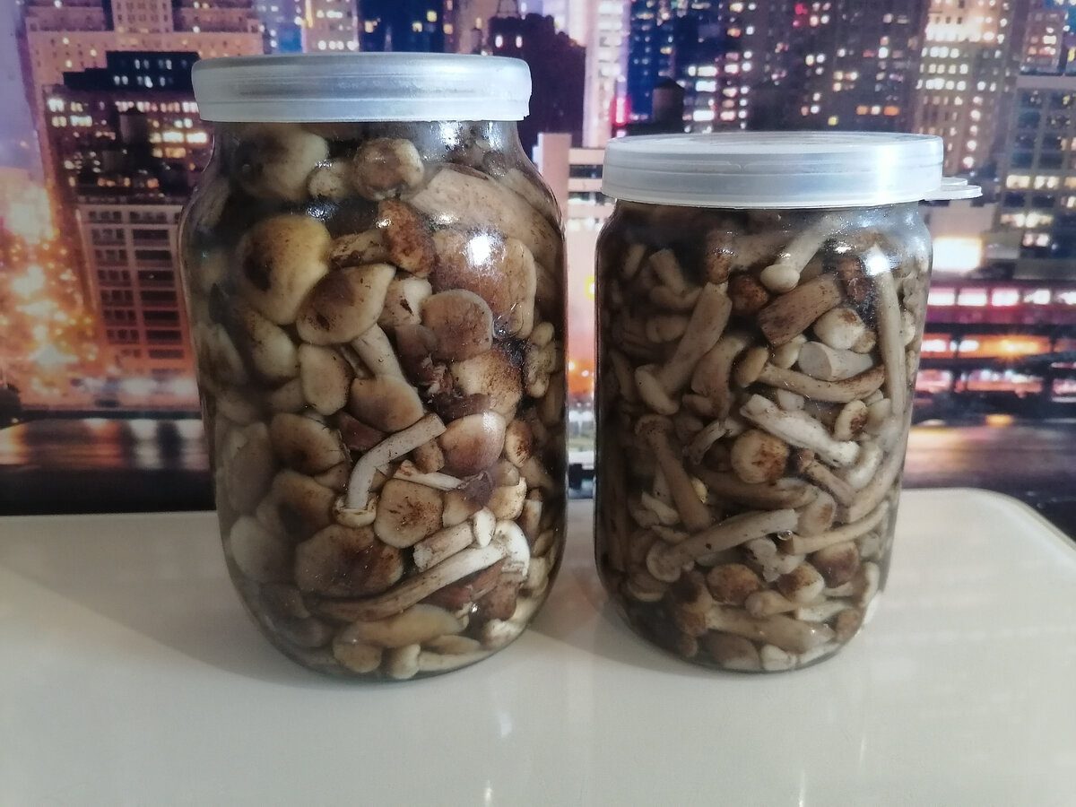 Кулінари розповіли, як заготувати на зиму гриби, аби вони були соковиті та смачні – рецепт